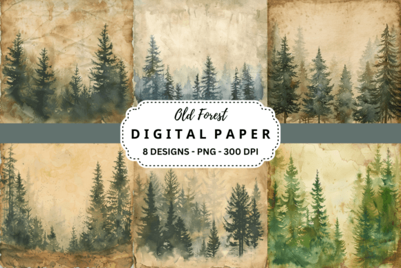 Old Forest Backgrounds: Crafting Atmosphere with Timeless Nature